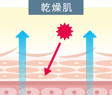 乾燥肌