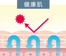 健康肌