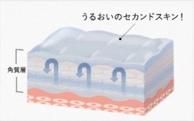 10-3_連続保湿