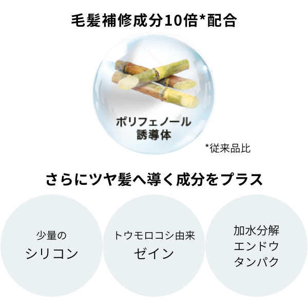 19-3_シンスボーテ リニューアル