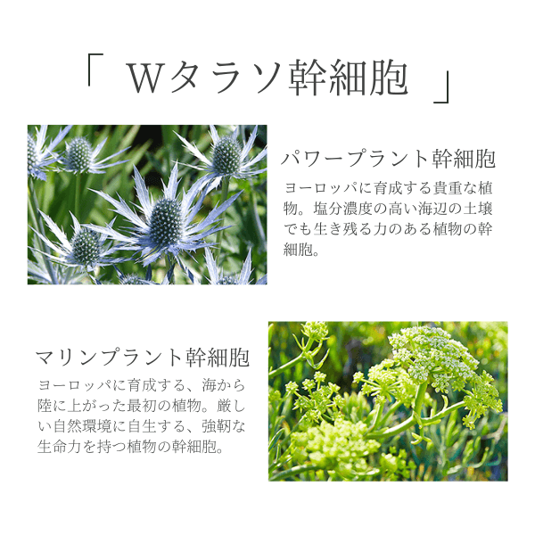 22-2_ハレナ美容液