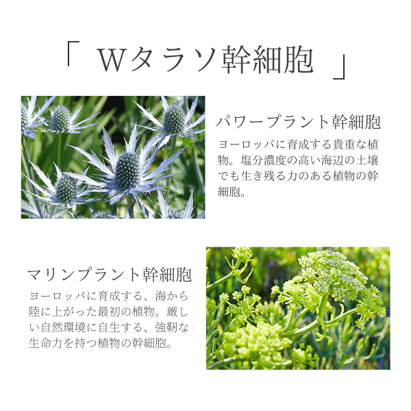 31-1_ハレナ美容液