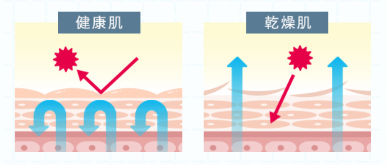 39-1_オーガニックエッセンス