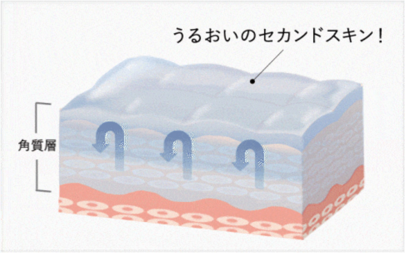 38-3_オーガニックエッセンス