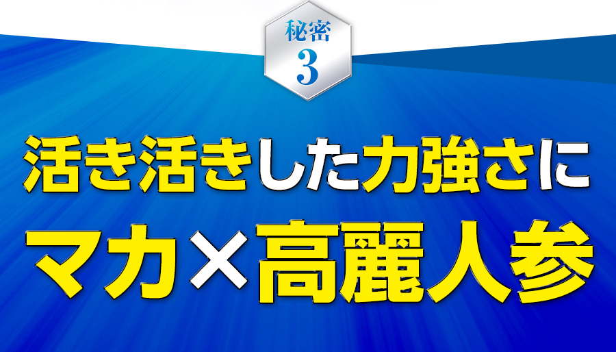活き活きした力強さにマカ×高麗人参