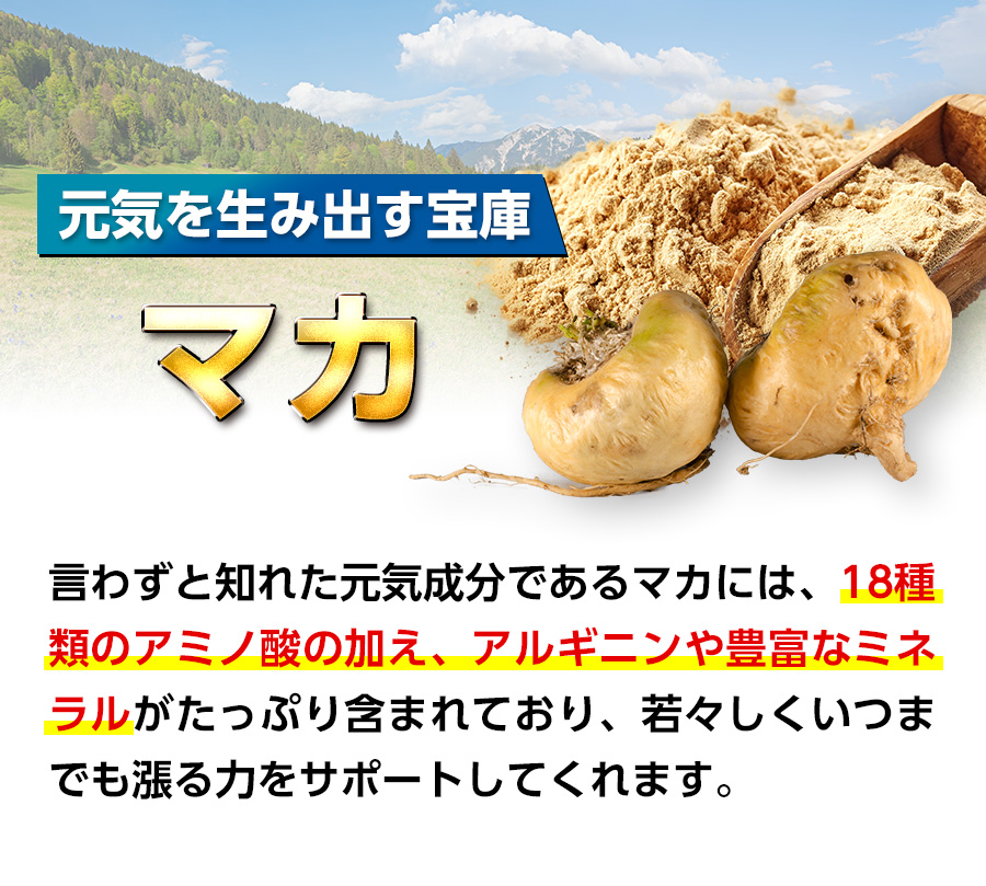 マカ