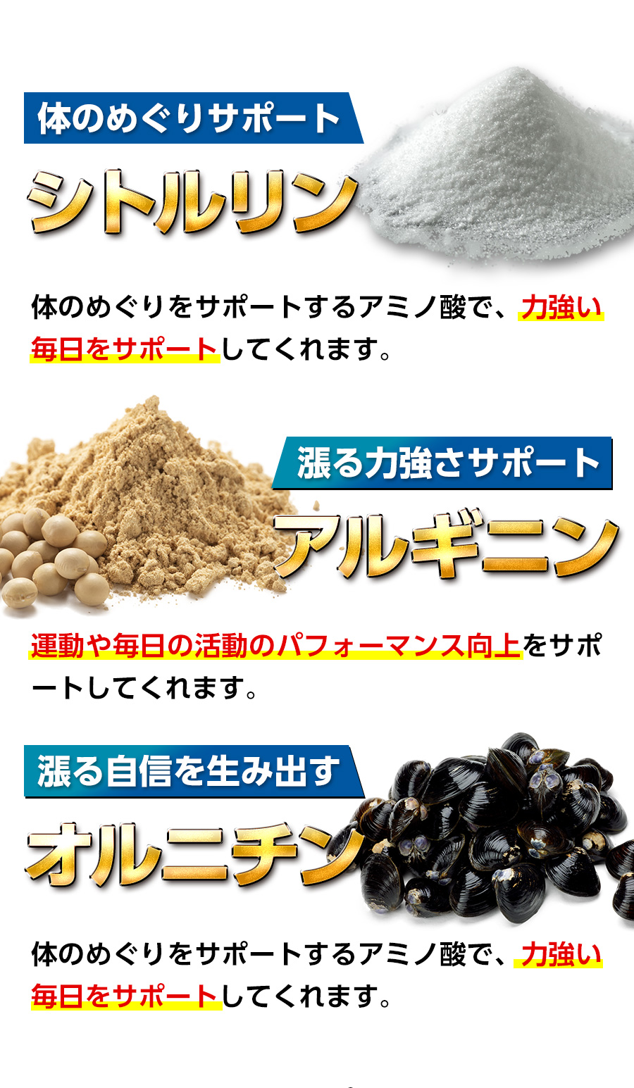 シトルリン、アルギニン、オルニチンの成分説明