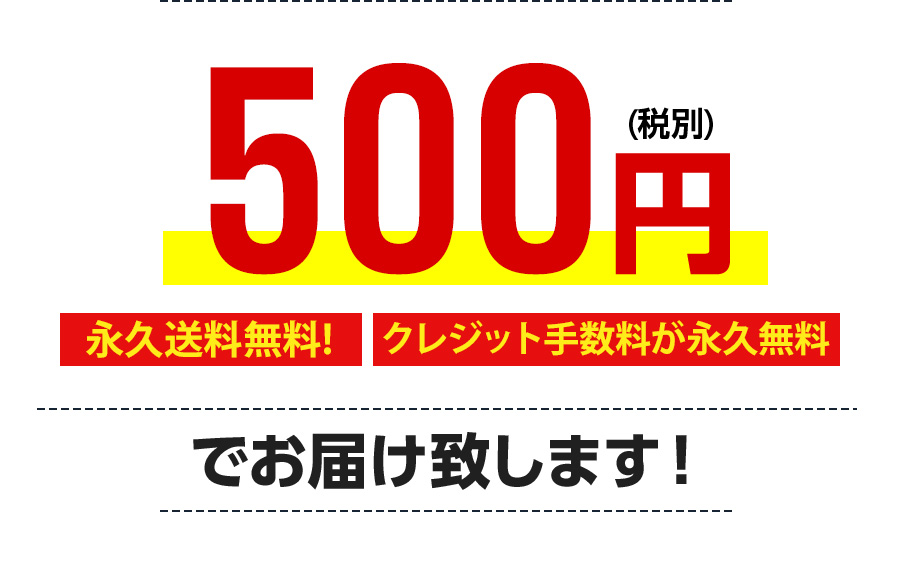 500円でお届けいたします