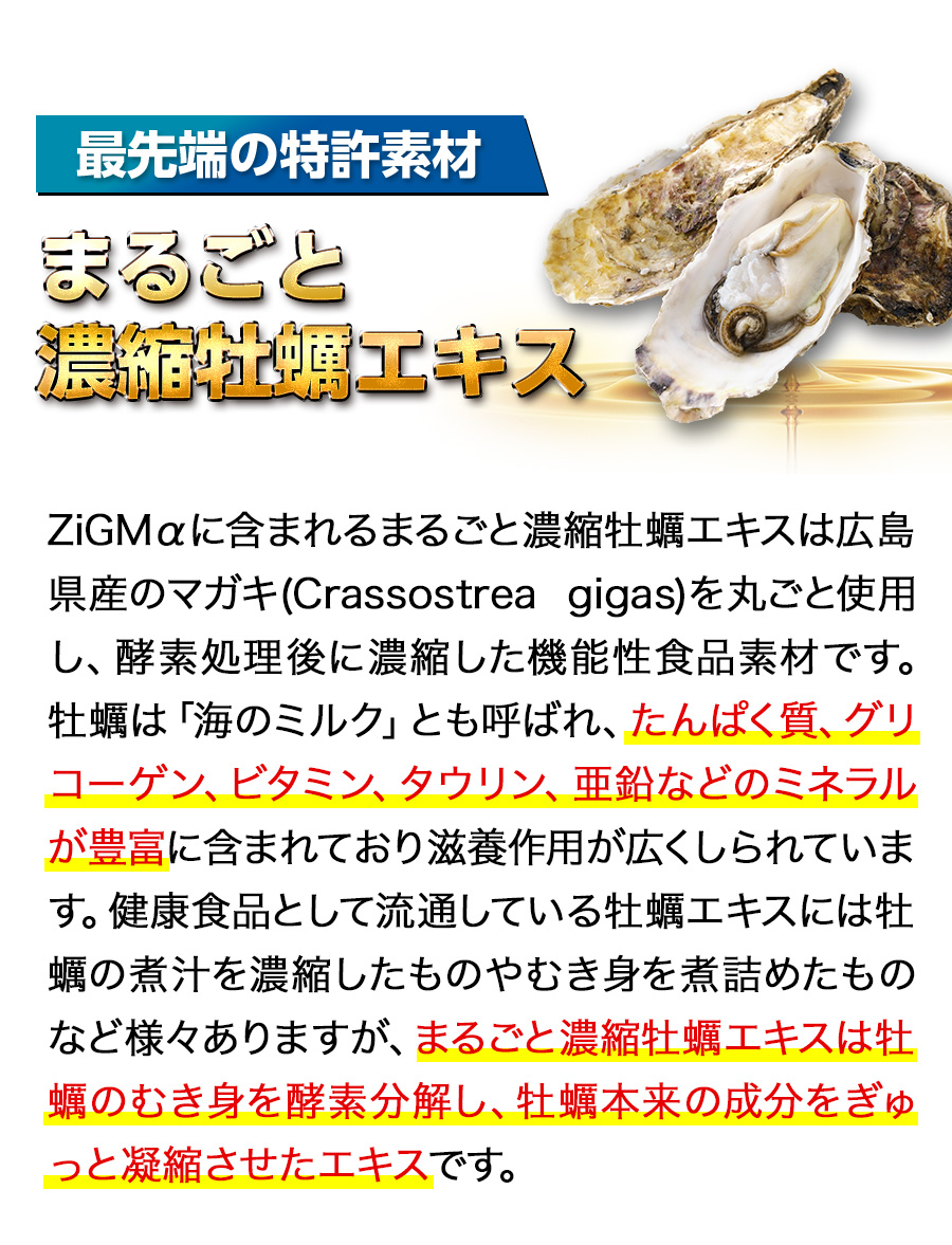 最先端の特許素材