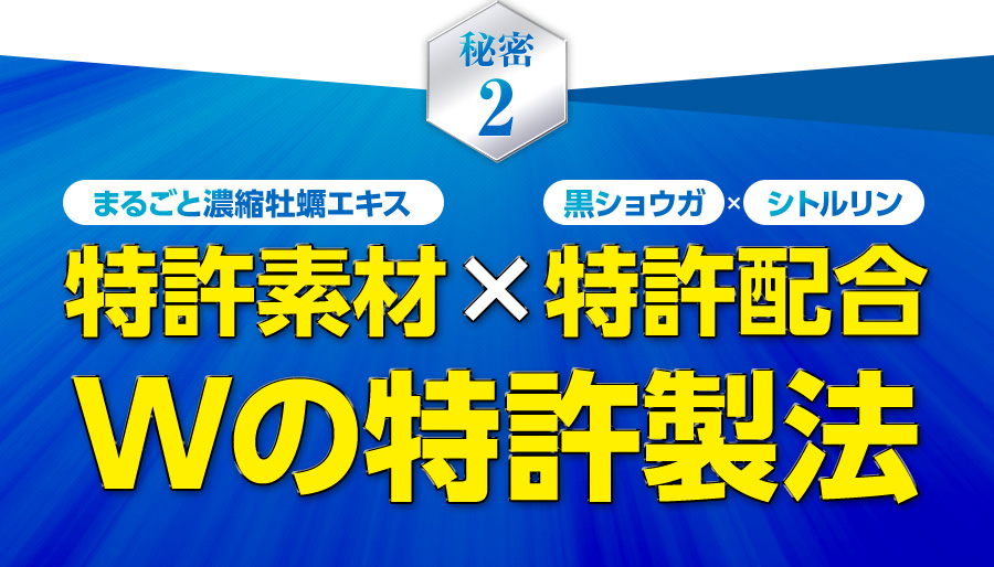 Wの特許製法