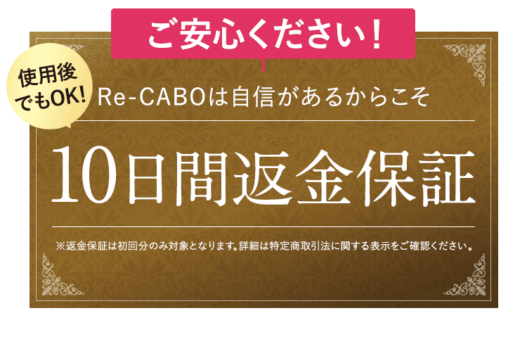 10日間返金保証