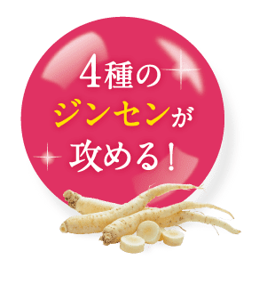 4種のジンセンが攻める！