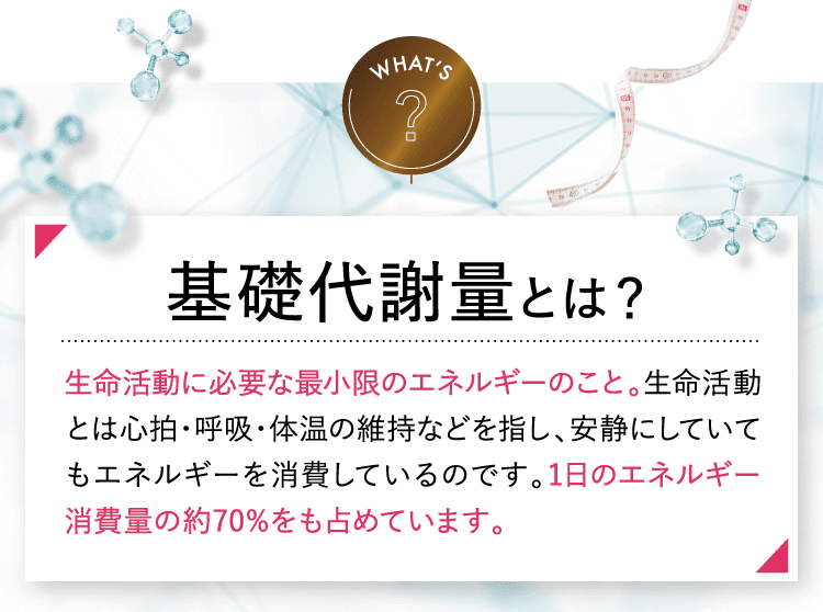 基礎代謝量とは？