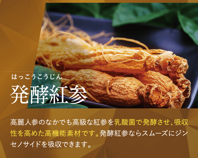 発酵紅参