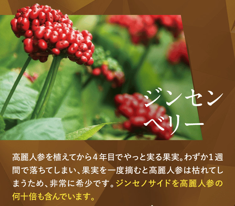 ジンセンベリー