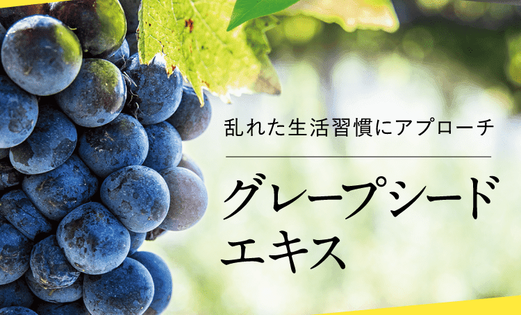 グレープシードエキス