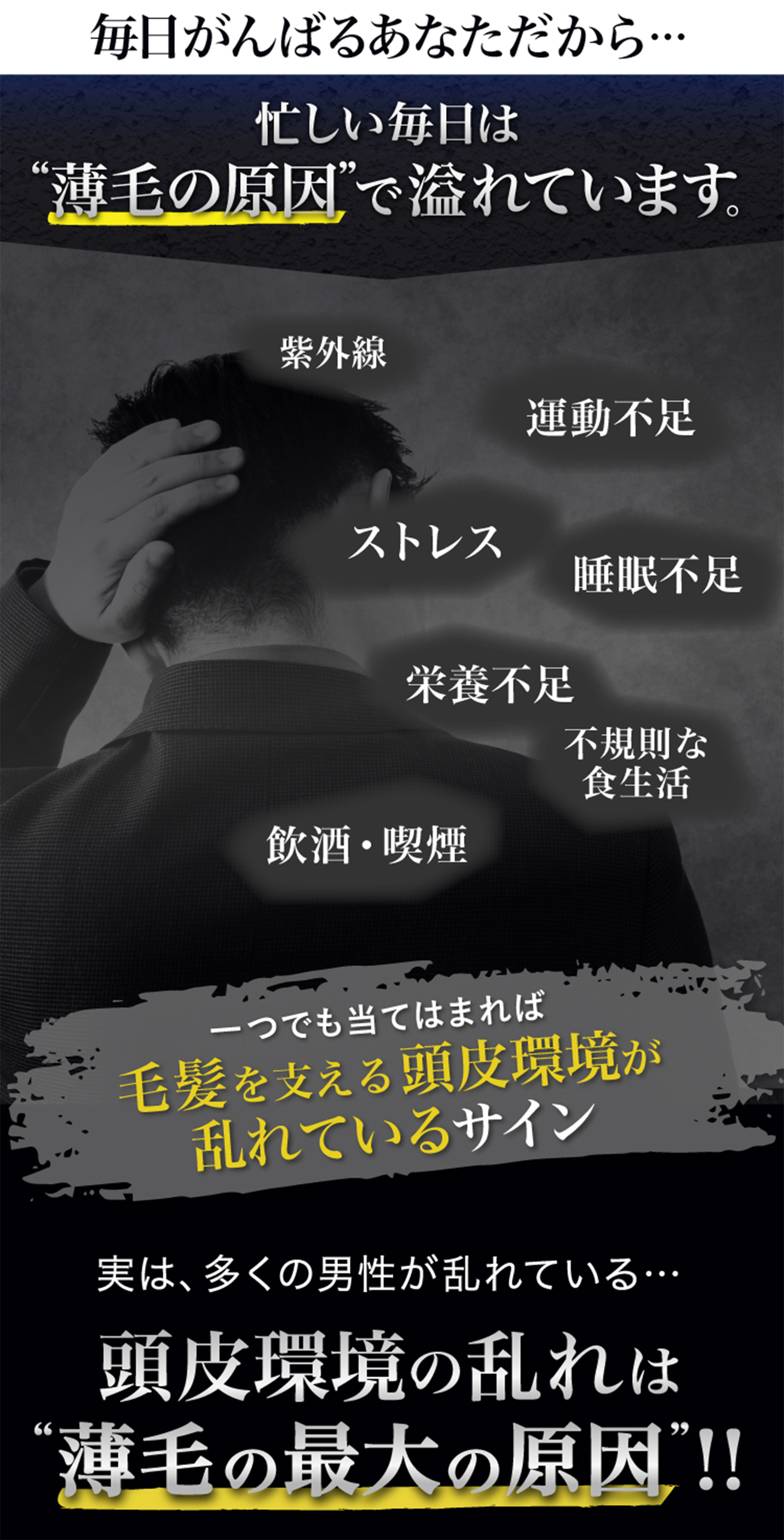 忙しい毎日は薄毛の原因で溢れています