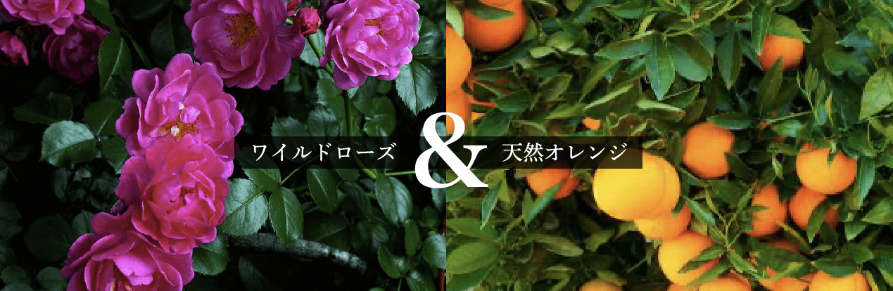 ワイルドローズ&天然オレンジ