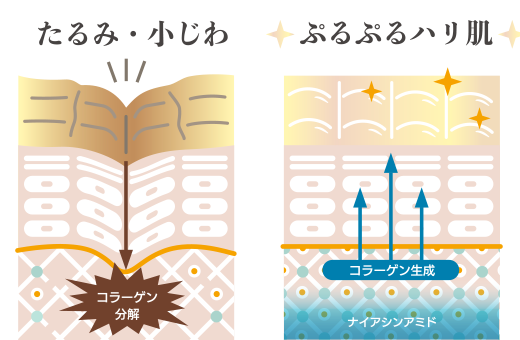 ナイアシンアミド解説図