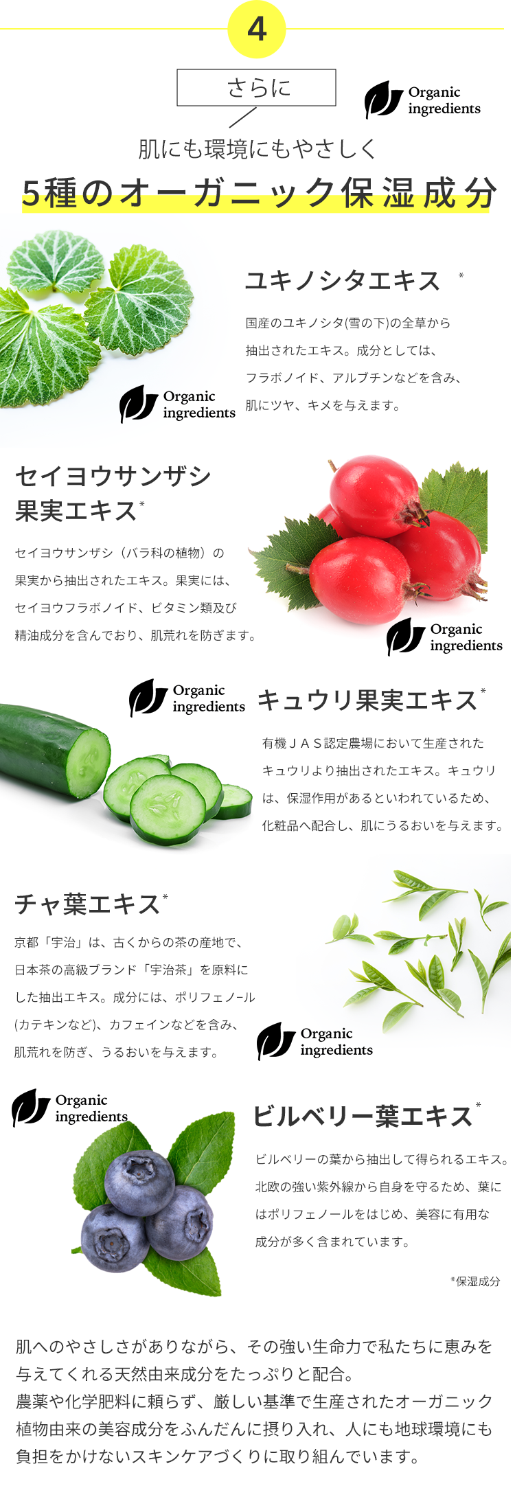 さらに やさしく整えるオーガニック美容成分
