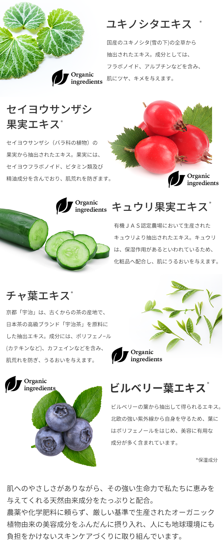 5種のオーガニック成分詳細