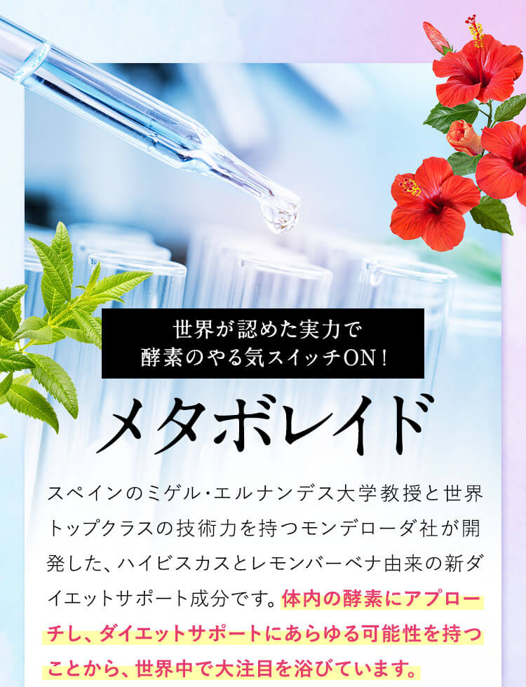 メタボレイド