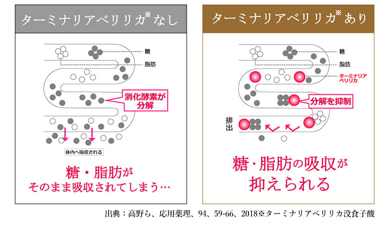 SLILIN W -スリリン ダブル-|脂肪や糖の吸収を抑える!!機能性表示食品
