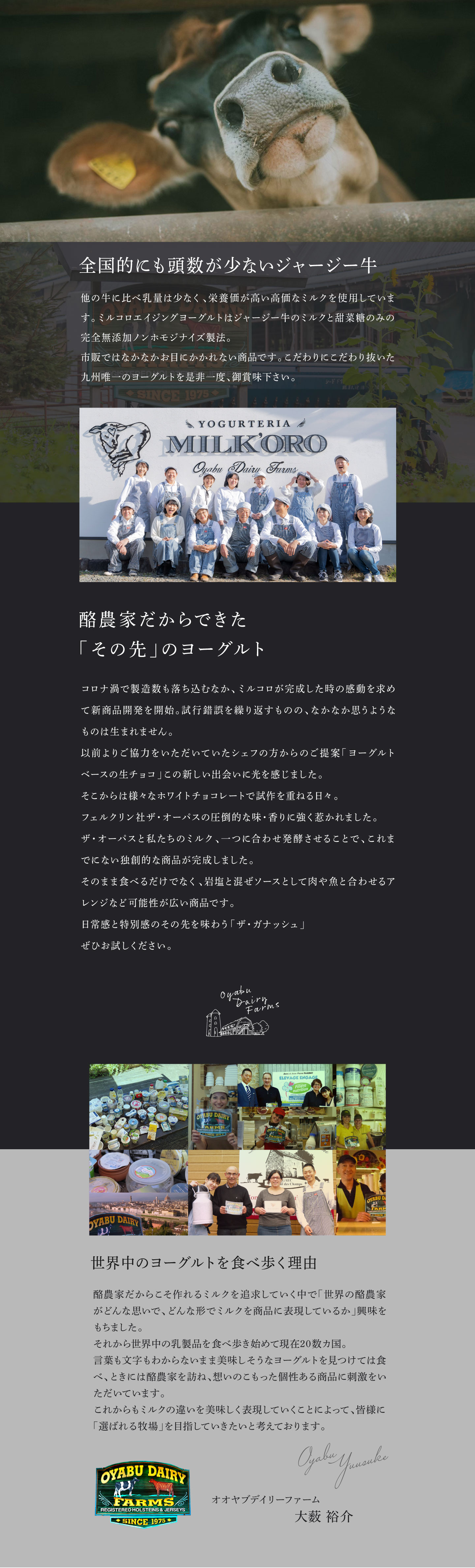 発酵ホワイトガナッシュ 100g 3本セット ギフト ミルコロ 公式 オオヤブデイリーファーム