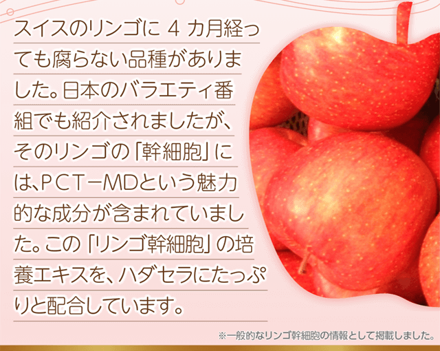 ハダセラ セラミド原液を使用した美容液です 健幸生活研究社 ハダセラ セラミド原液を使用した美容液です 健幸生活研究社