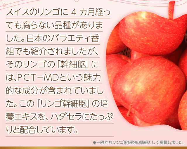 ハダセラ セラミド原液を使用した美容液です 健幸生活研究社