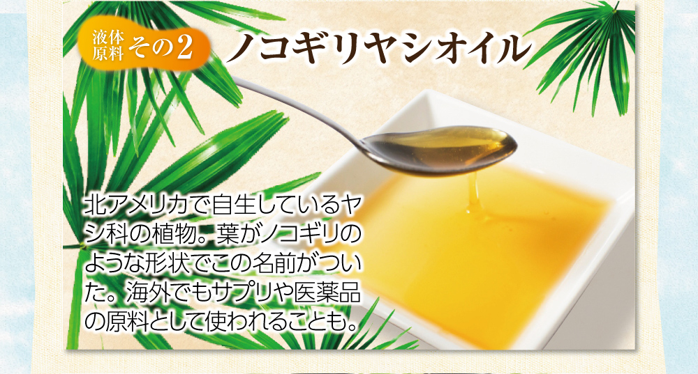 【液体原料:その2】ノコギリヤシオイル。北アメリカで自生しているヤシ科の植物。葉がノコギリのような形状でこの名前がついた。海外でもサプリや医薬品の原料として使われることも。