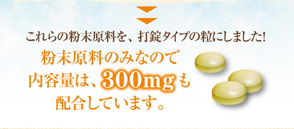 これらの粉末原料を、打錠タイプの粒にしました!粉末原料のみなので内容量は、300mgも配合しています。