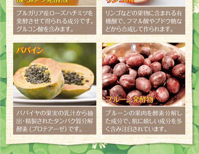 パパイン・プルーン発酵物