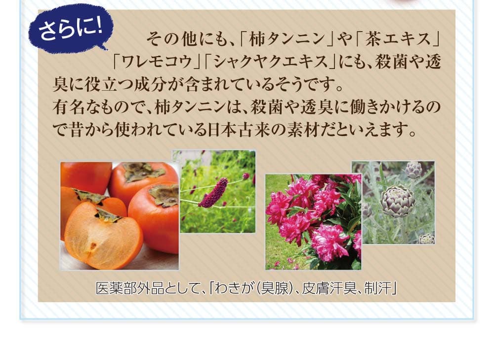 その他にも『柿タンニン』『茶エキス』『ワレモコウ』『シャクヤクエキス』にも殺菌や透臭に役立つ成分が含まれているそうです。