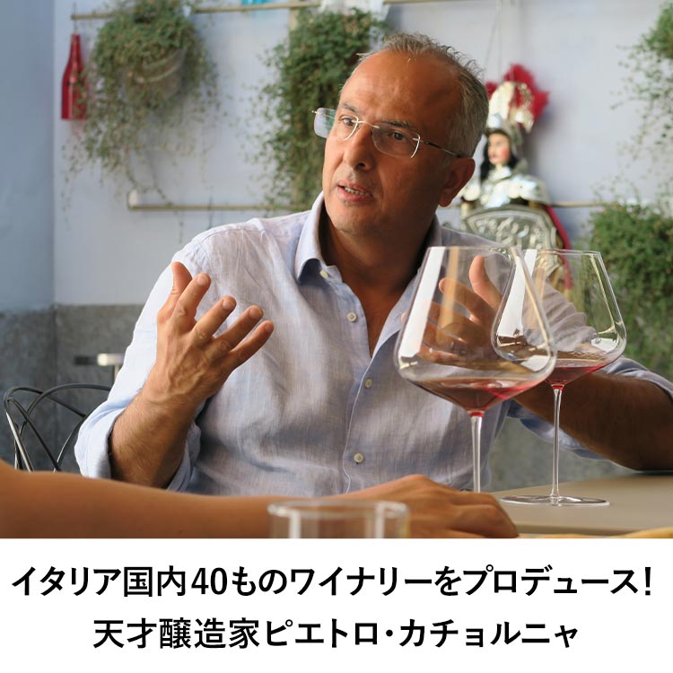 イタリア国内40ものワイナリーをプロデュースする天才醸造家 ピエトロ・カチョルニャ