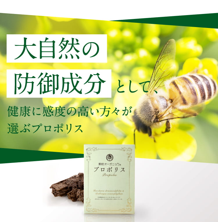 プロポリス公式webキャンペーンページ 薬院オーガニック