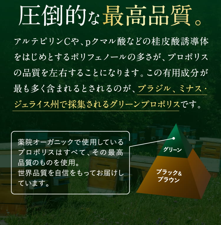 プロポリス公式webキャンペーンページ 薬院オーガニック