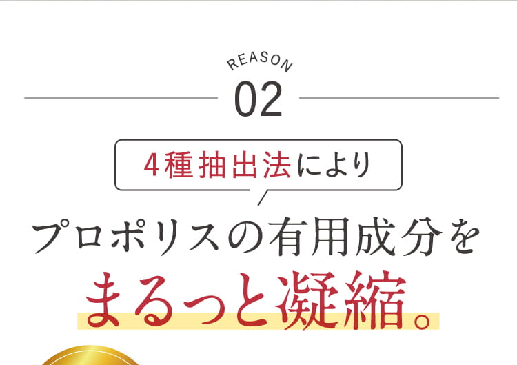 プロポリス公式webキャンペーンページ 薬院オーガニック