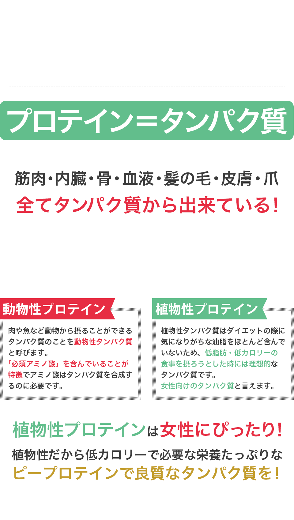 筋力アップのためだけに必要なのがプロテインではありません
