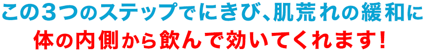 STEP3