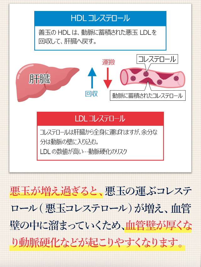ヘルスオイル 株式会社富山常備薬グループ