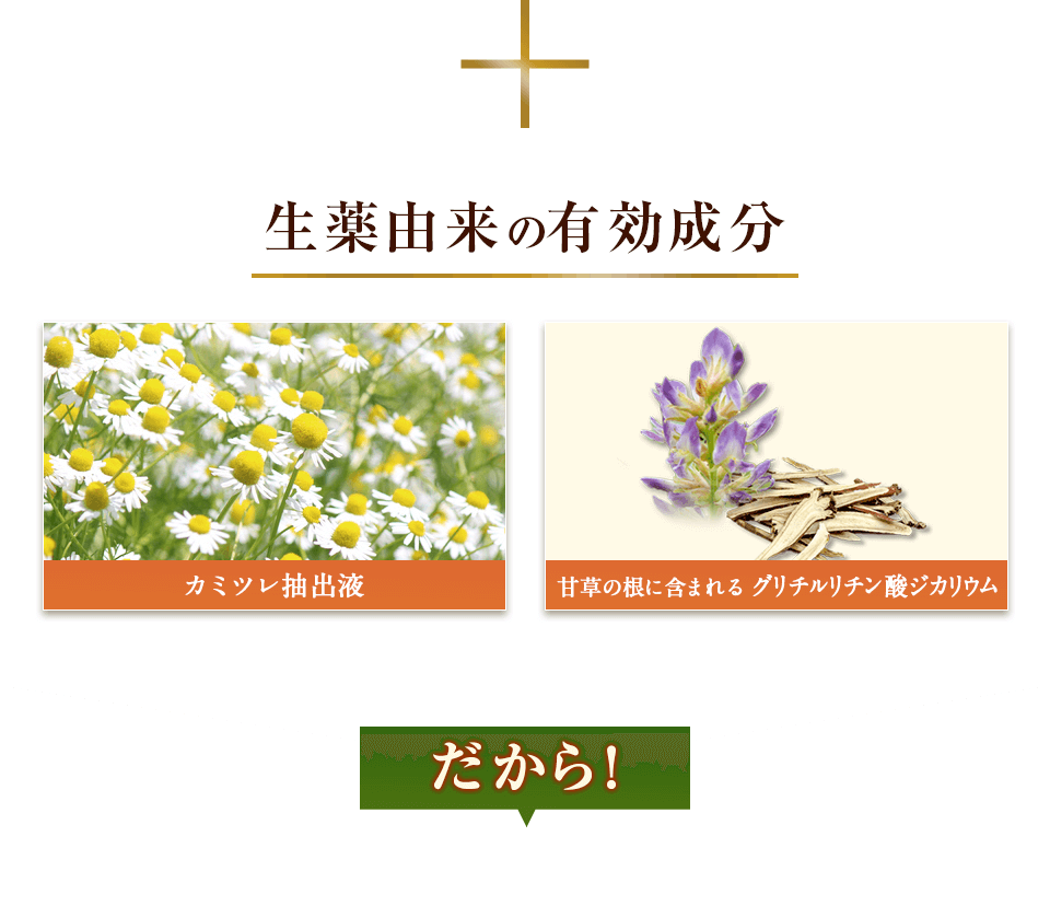 生薬由来の有効成分