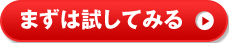 まずは試してみる