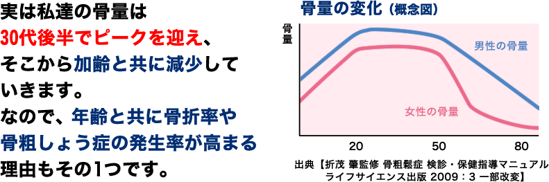 実は私達の骨量は30代後半でピークを迎え、そこから加齢と共に減少していきます。なので、年齢と共に骨折率や骨粗しょう症の発生率が高まる理由もその1つです。