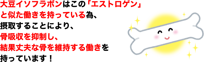 大豆イソフラボンはこの「エストロゲン」と似た働きを持っている為、摂取することにより、骨吸収を抑制し、結果丈夫な骨を維持する働きを持っています!