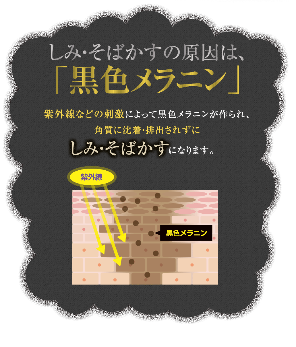 しみ・そばかすの原因は、「黒色メラニン」