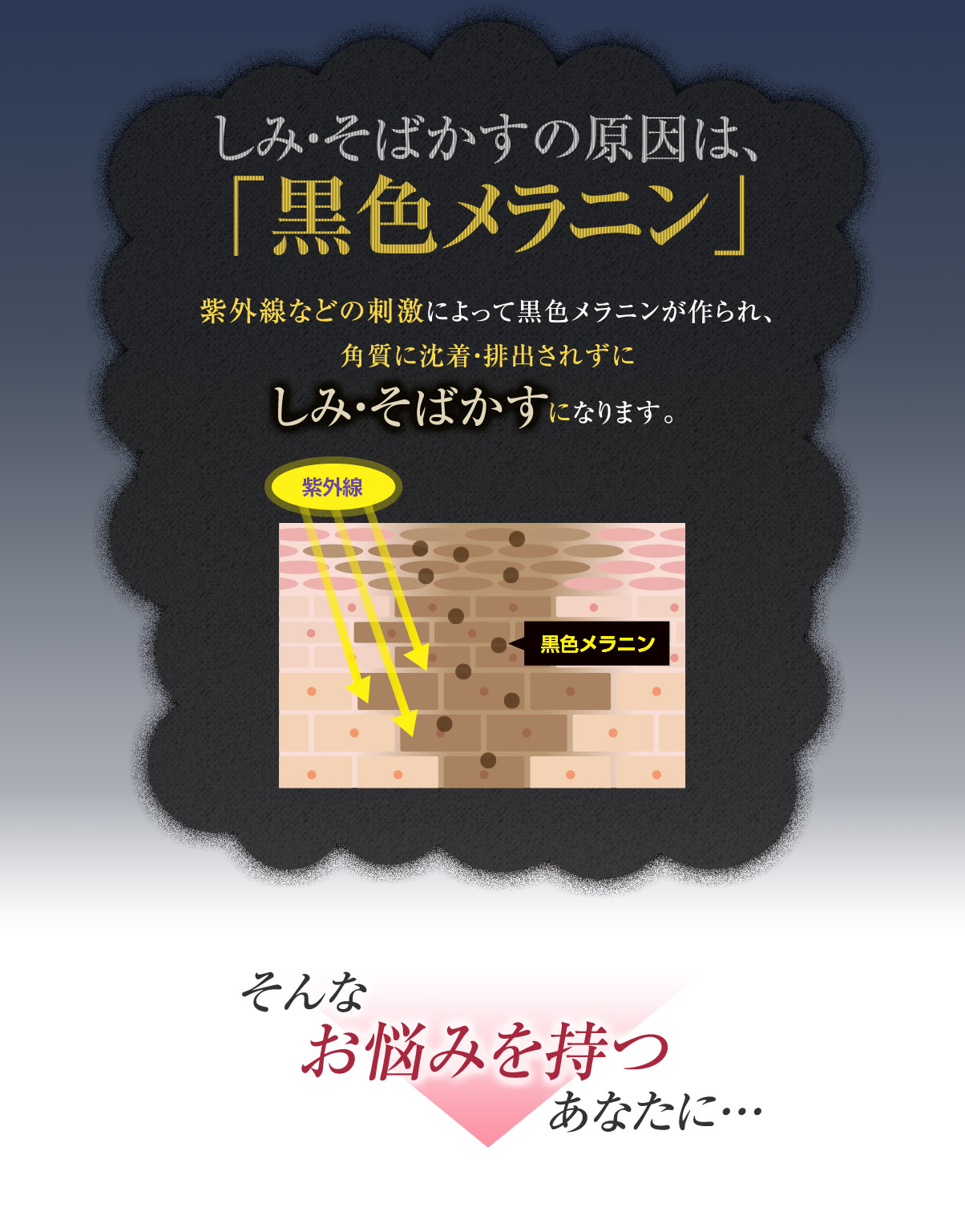 しみ・そばかすの原因は、「黒色メラニン」