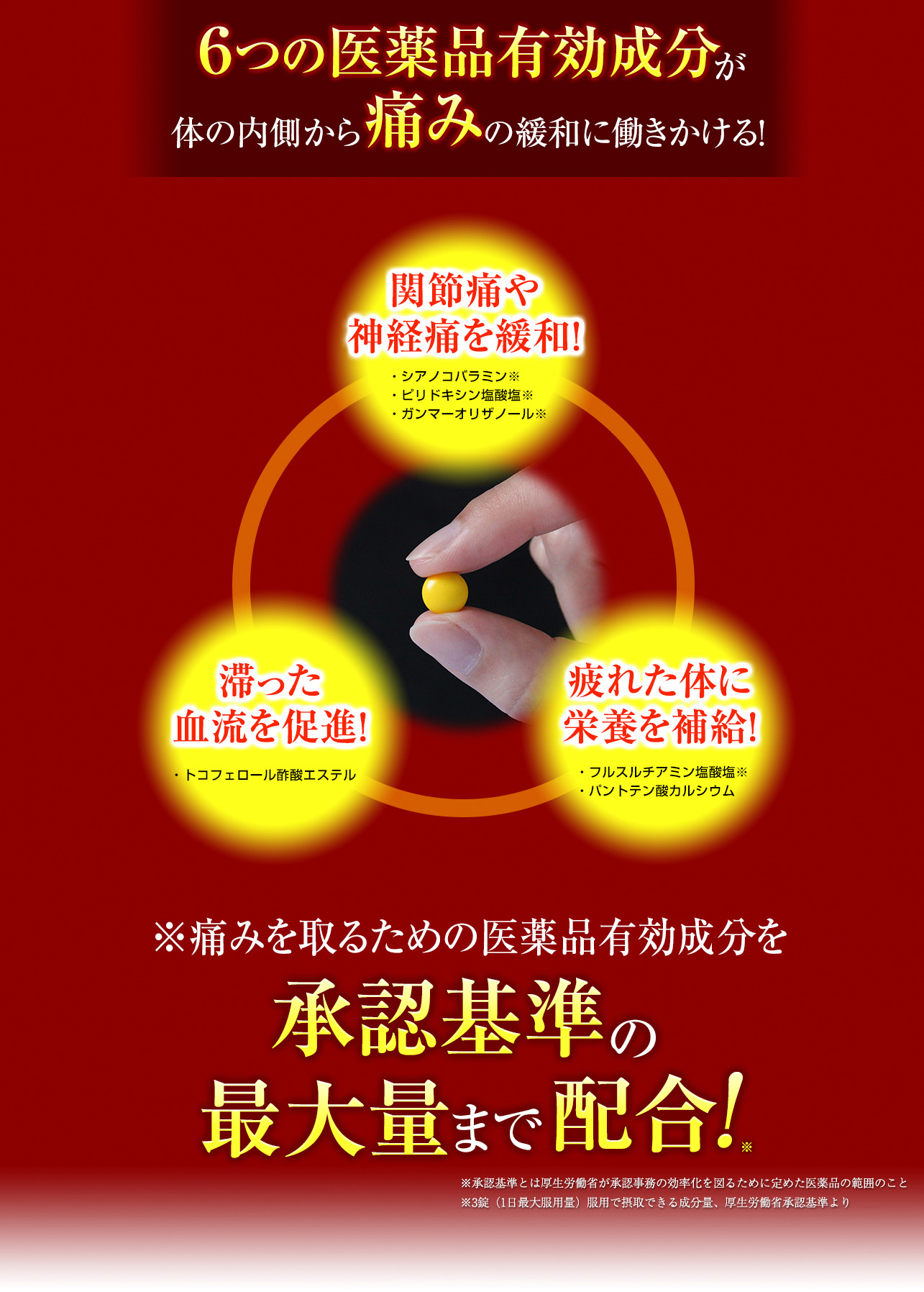 6つの医薬品有効成分が体の内側から痛みの緩和に働きかける!