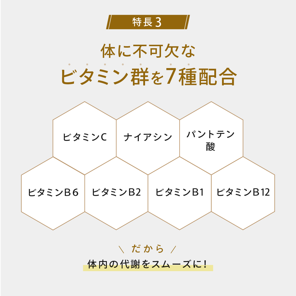 スローダイエットプロテイン(1000g) 黒ゴマきなこ風味 | ULTORA ...
