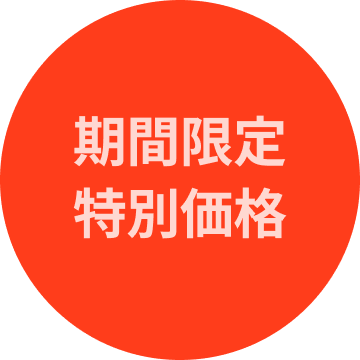 期間限定 特別価格